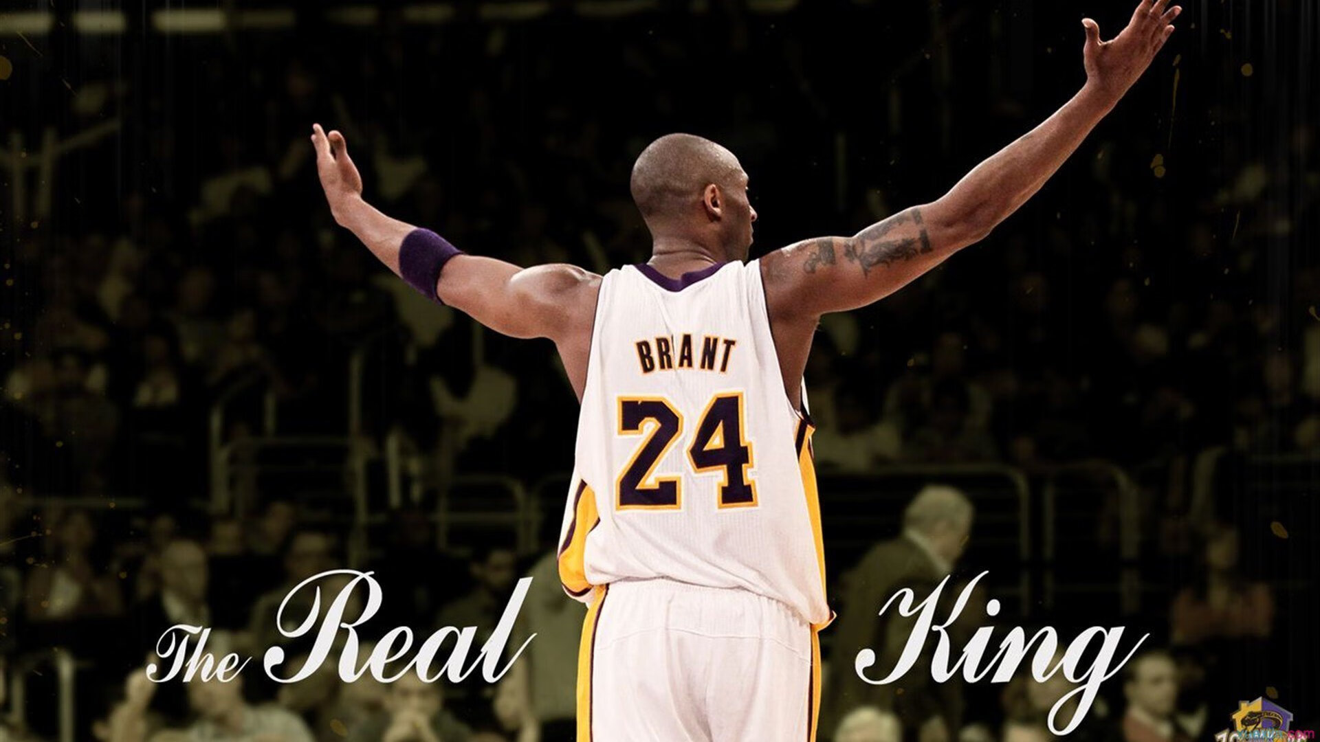 社区“家庭篮球三人制” 小朋友成为主攻点